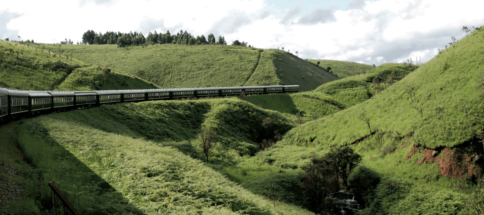 On Railways, Romance, and the Luxury of Being Unreachable — Discovering Rovos Rail